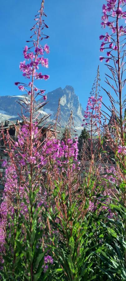 Maison Meynet Mountain Charm Breuil-Cervinia Kültér fotó